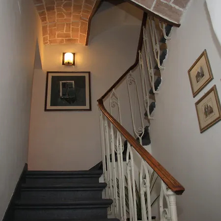 Отель Morlacchi